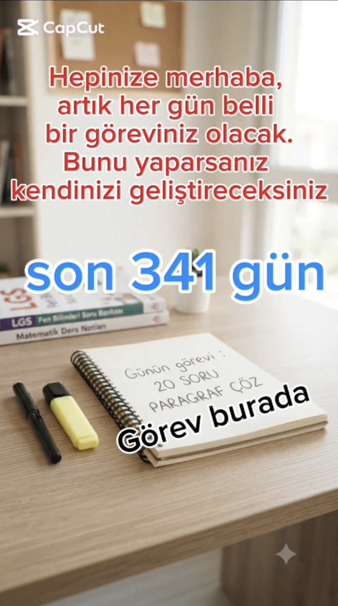 Son 341 Gün